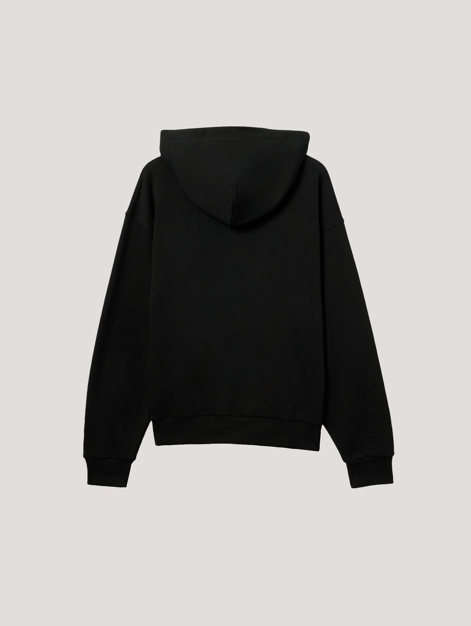 Pa X Everlast Regular Hoodie